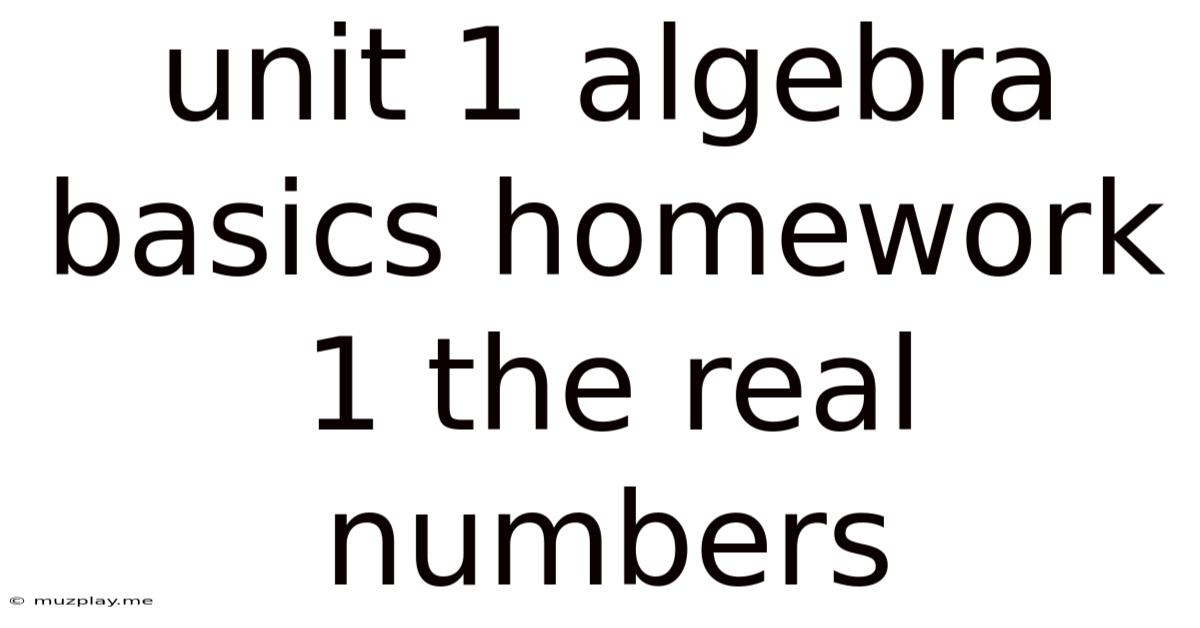 Unit 1 Algebra Basics Homework 1 The Real Numbers
