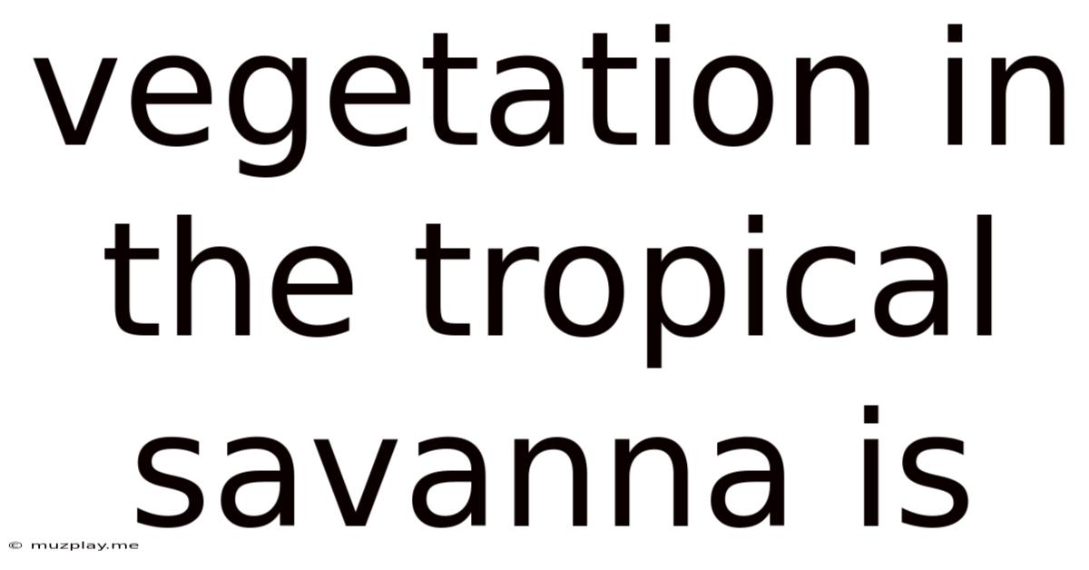 Vegetation In The Tropical Savanna Is