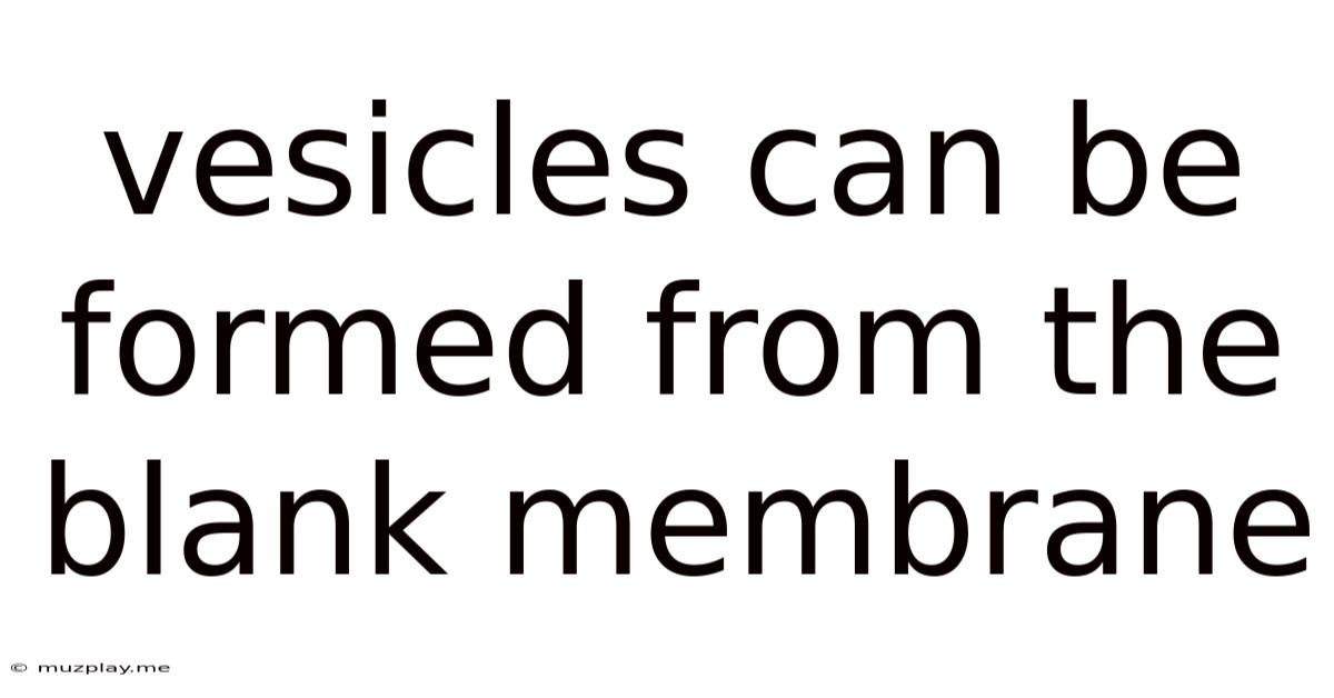 Vesicles Can Be Formed From The Blank Membrane