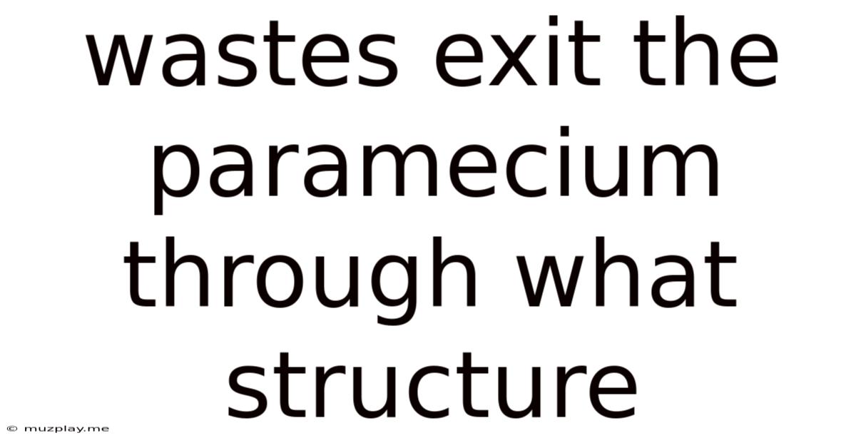 Wastes Exit The Paramecium Through What Structure