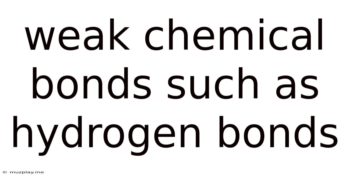 Weak Chemical Bonds Such As Hydrogen Bonds