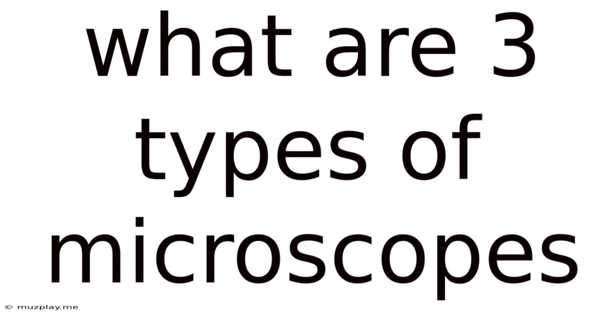 What Are 3 Types Of Microscopes