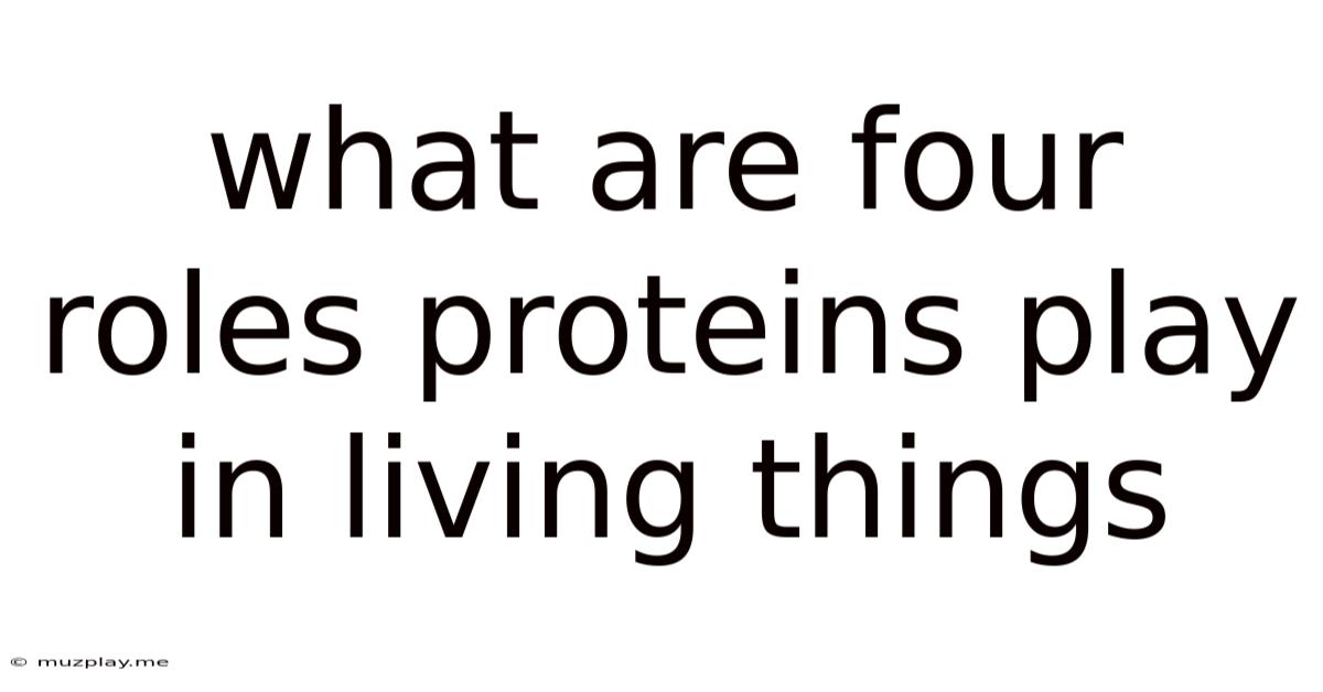 What Are Four Roles Proteins Play In Living Things