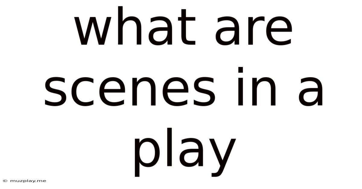 What Are Scenes In A Play
