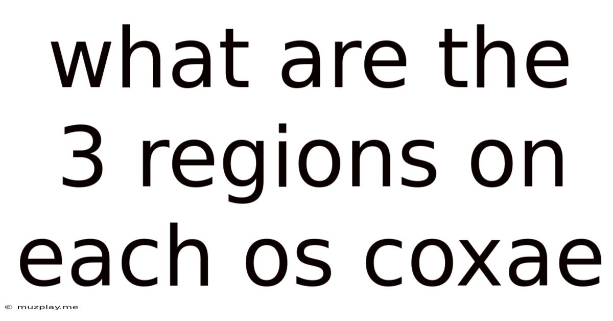 What Are The 3 Regions On Each Os Coxae