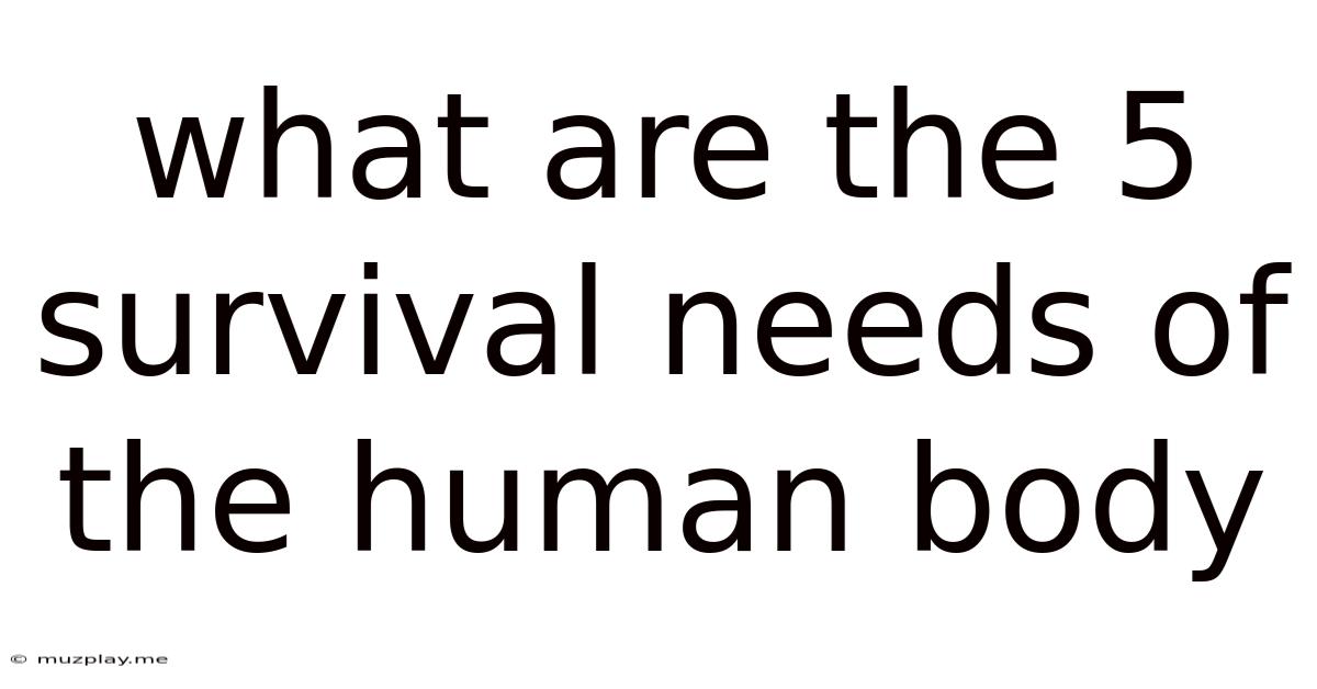 What Are The 5 Survival Needs Of The Human Body