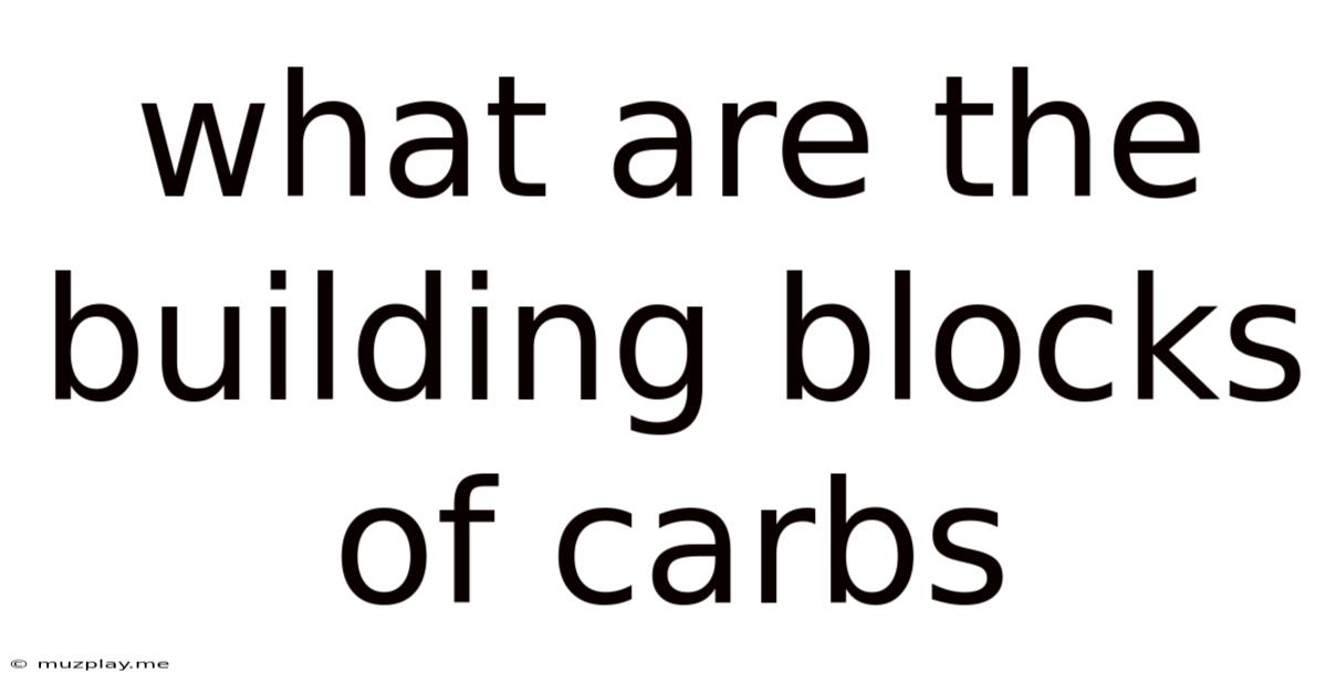 What Are The Building Blocks Of Carbs