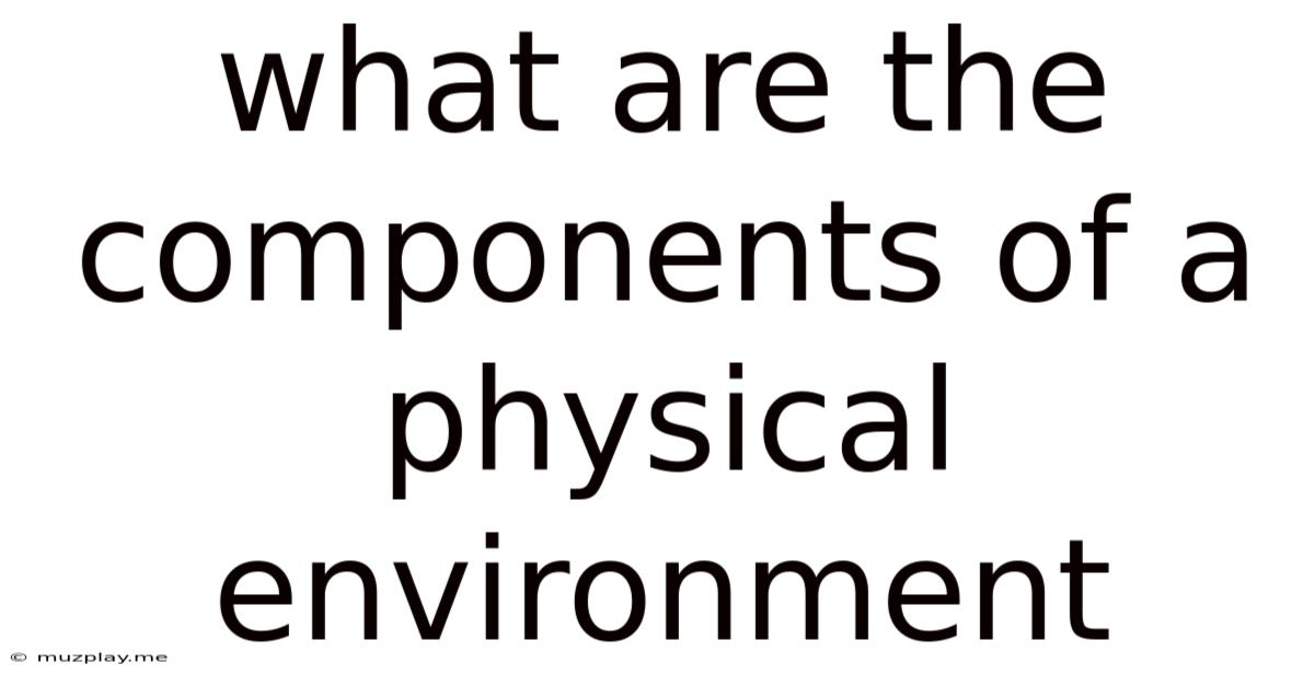 What Are The Components Of A Physical Environment