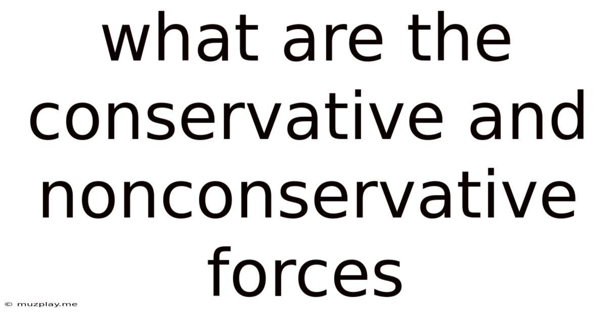 What Are The Conservative And Nonconservative Forces