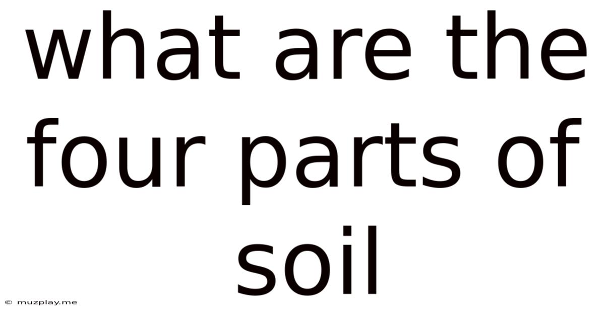 What Are The Four Parts Of Soil
