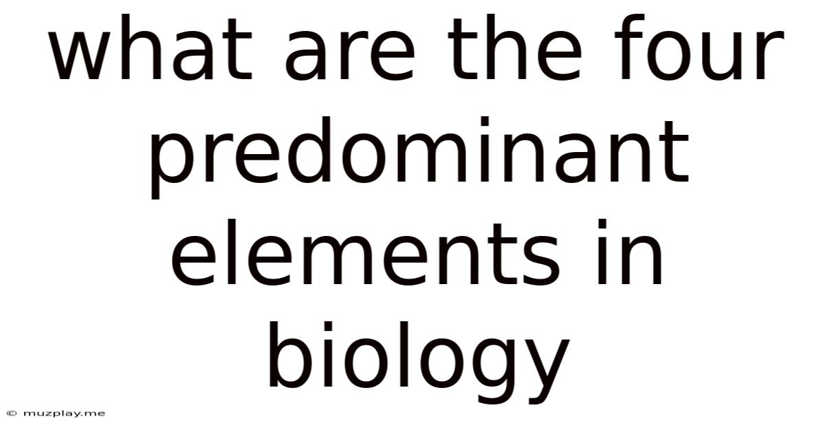 What Are The Four Predominant Elements In Biology