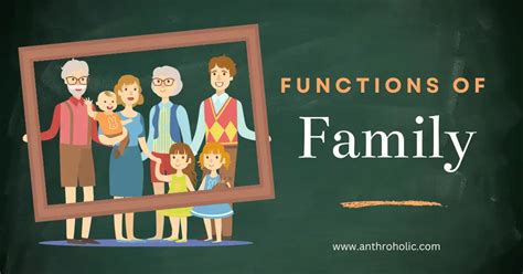 What Are The Function Of Family