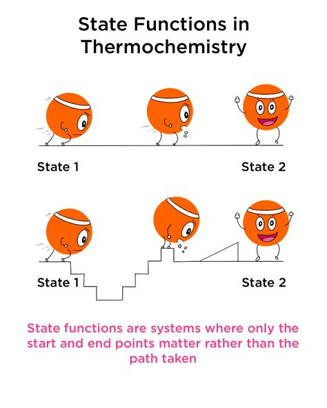 What Are The Functions Of State