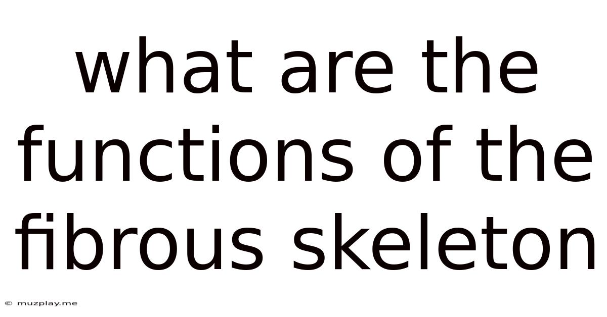 What Are The Functions Of The Fibrous Skeleton