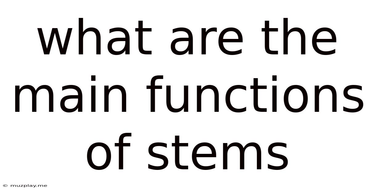 What Are The Main Functions Of Stems