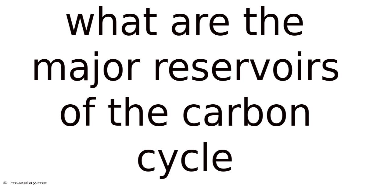 What Are The Major Reservoirs Of The Carbon Cycle