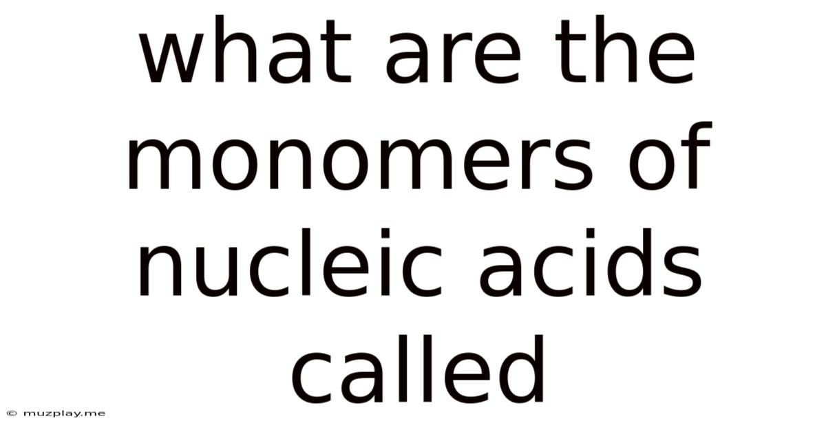 What Are The Monomers Of Nucleic Acids Called