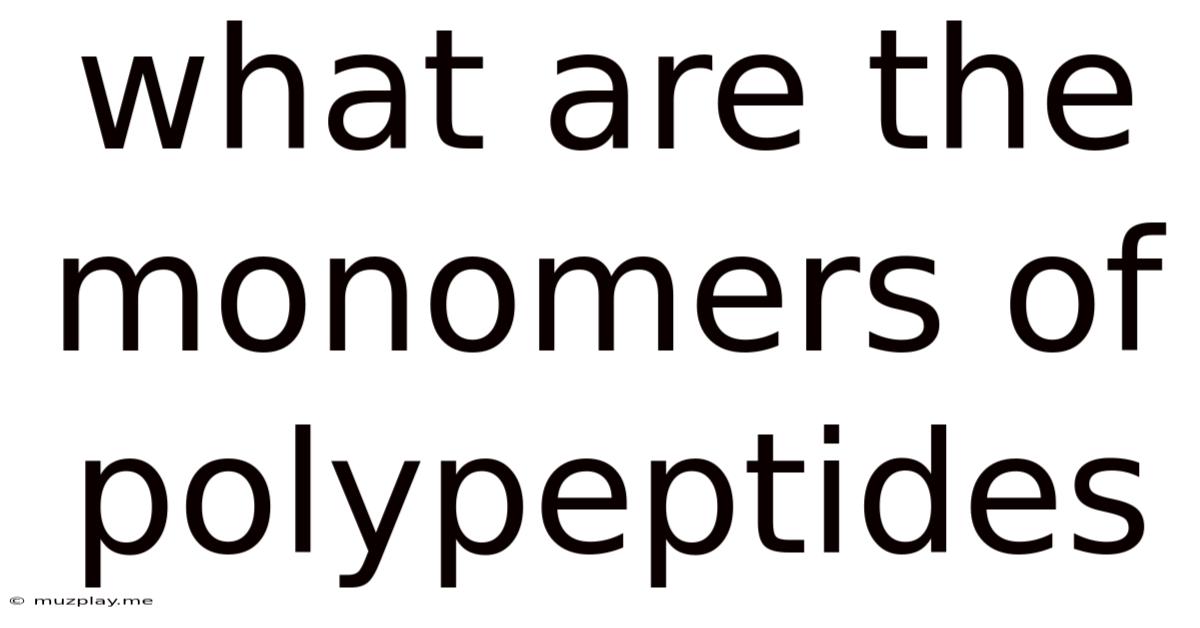 What Are The Monomers Of Polypeptides