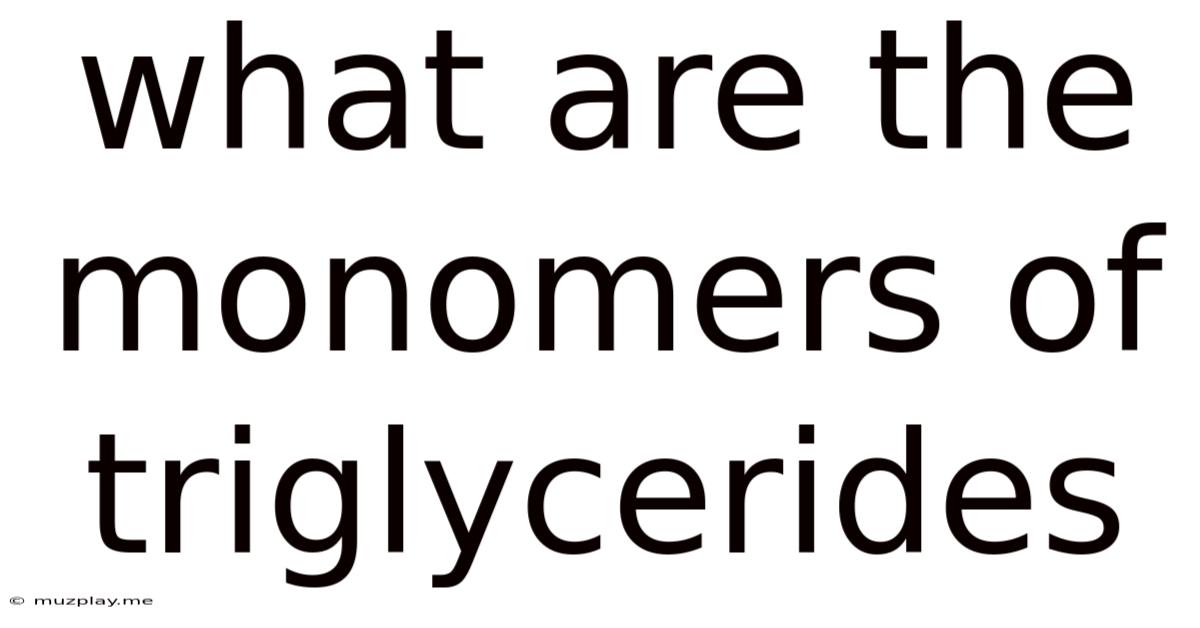 What Are The Monomers Of Triglycerides