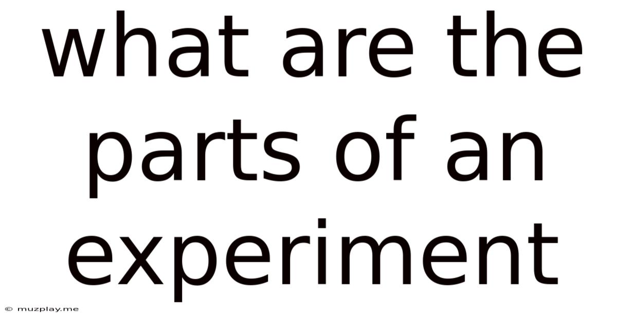 What Are The Parts Of An Experiment
