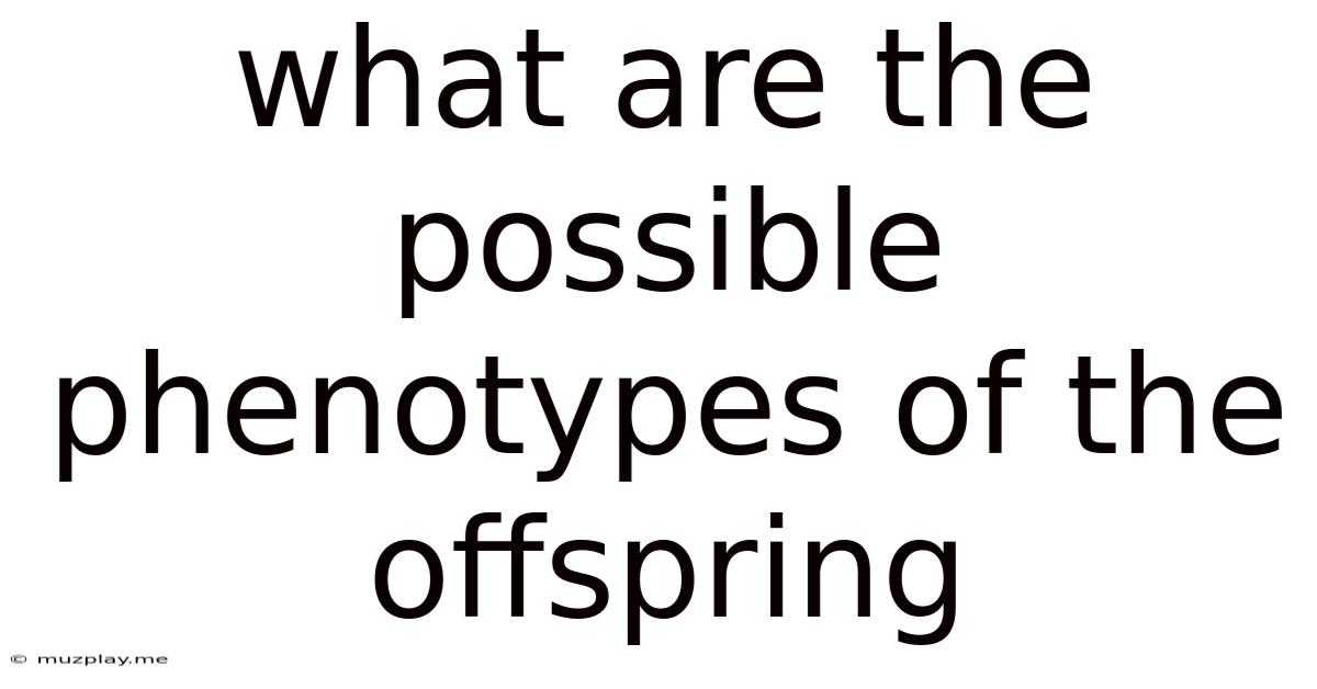 What Are The Possible Phenotypes Of The Offspring