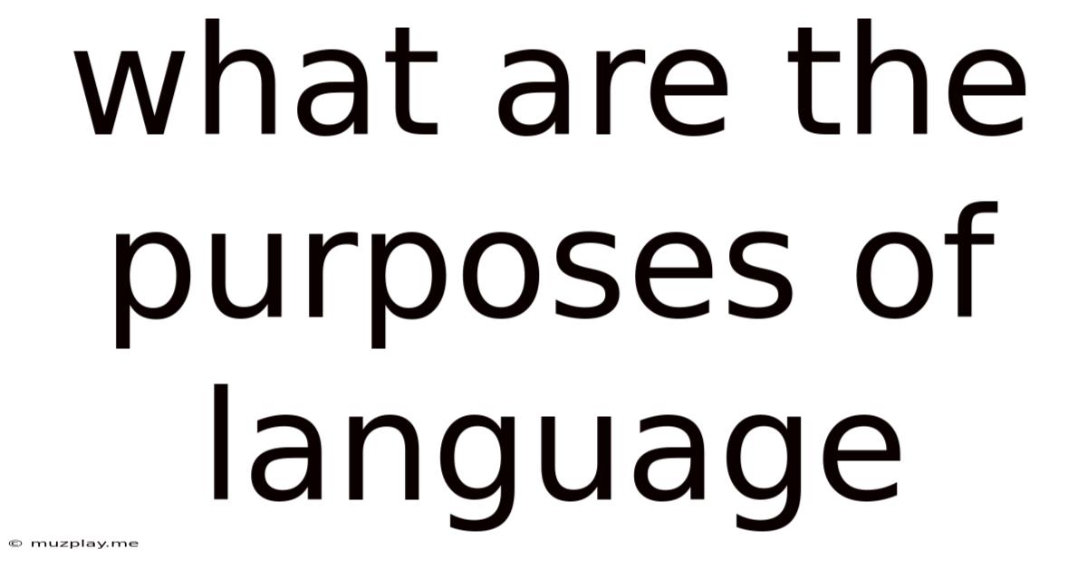 What Are The Purposes Of Language
