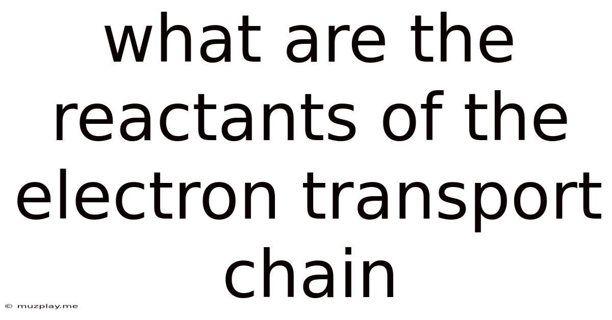 What Are The Reactants Of The Electron Transport Chain