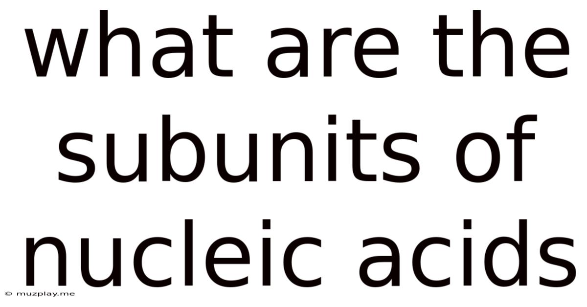 What Are The Subunits Of Nucleic Acids