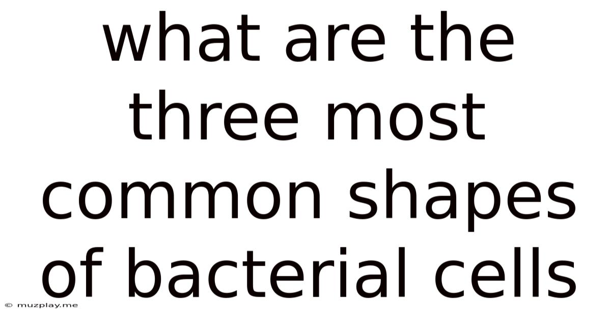 What Are The Three Most Common Shapes Of Bacterial Cells