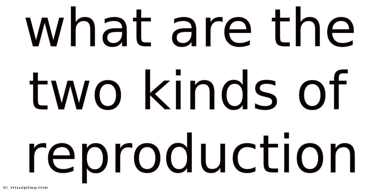 What Are The Two Kinds Of Reproduction
