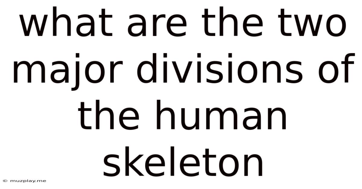 What Are The Two Major Divisions Of The Human Skeleton