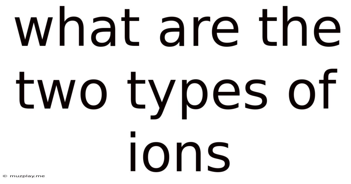 What Are The Two Types Of Ions