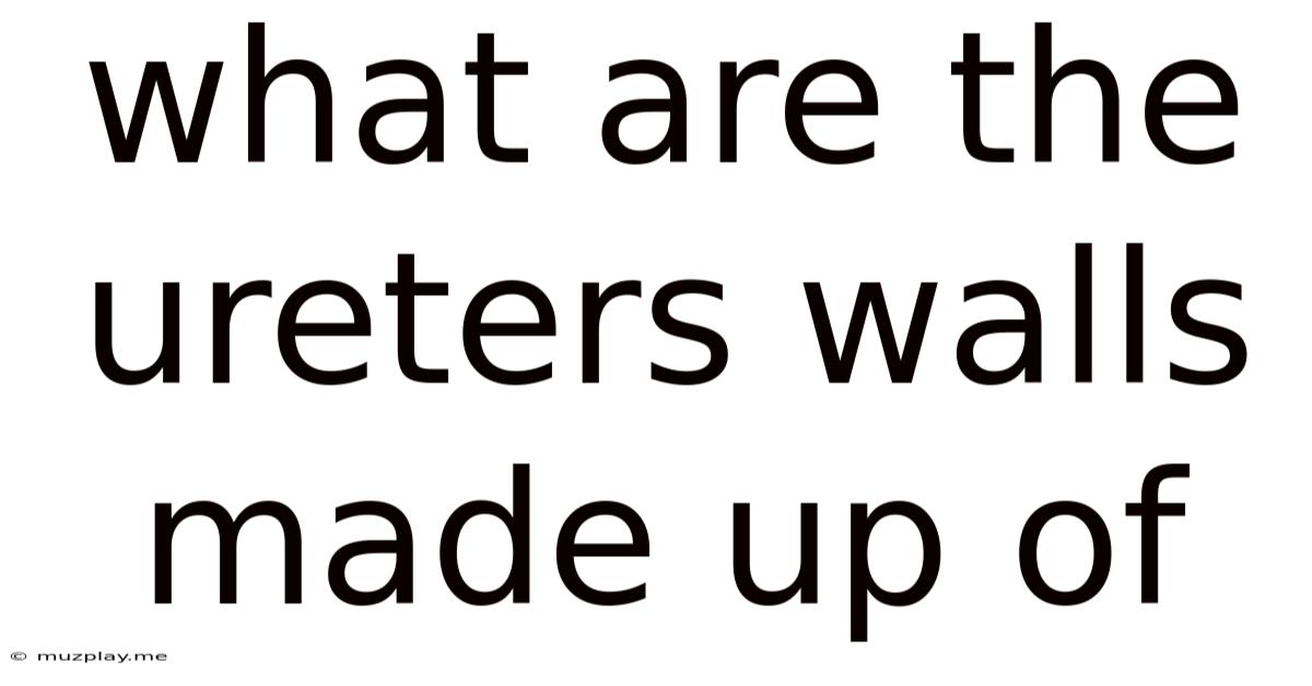 What Are The Ureters Walls Made Up Of