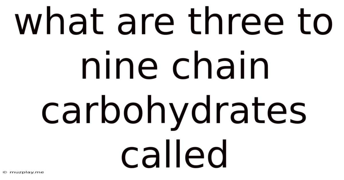 What Are Three To Nine Chain Carbohydrates Called