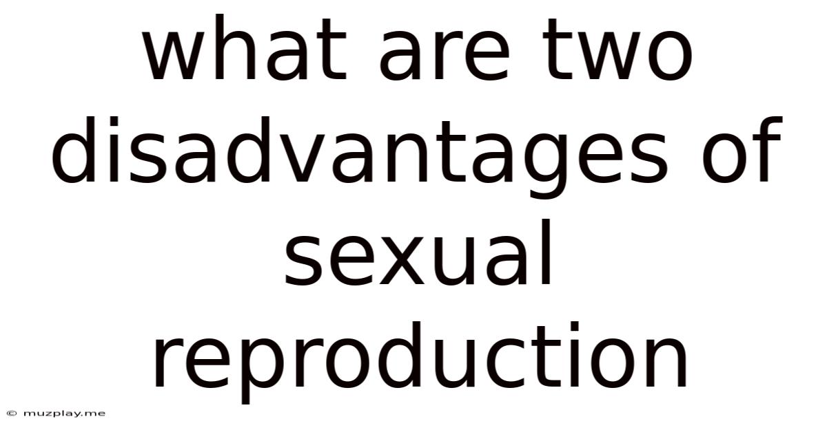 What Are Two Disadvantages Of Sexual Reproduction