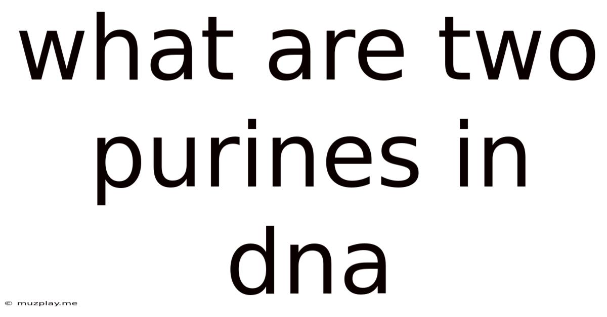 What Are Two Purines In Dna