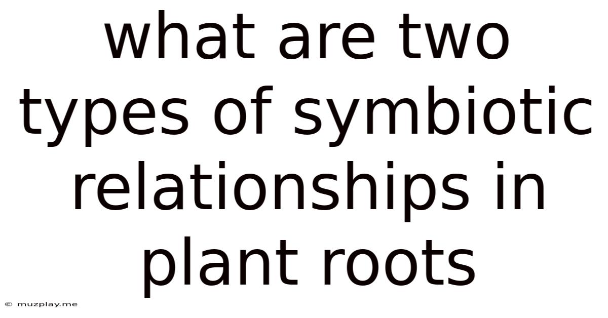 What Are Two Types Of Symbiotic Relationships In Plant Roots