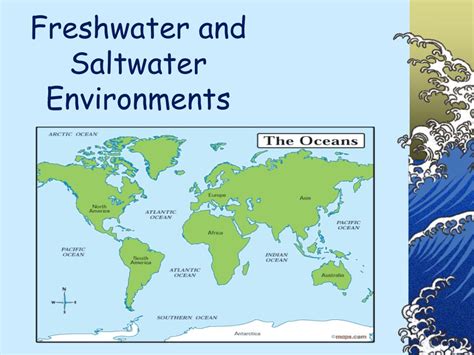 What Biome Is Where Saltwater Meets Freshwater