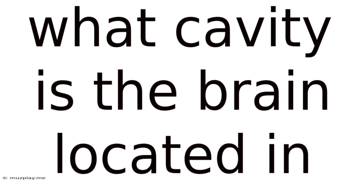 What Cavity Is The Brain Located In