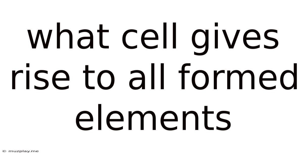 What Cell Gives Rise To All Formed Elements