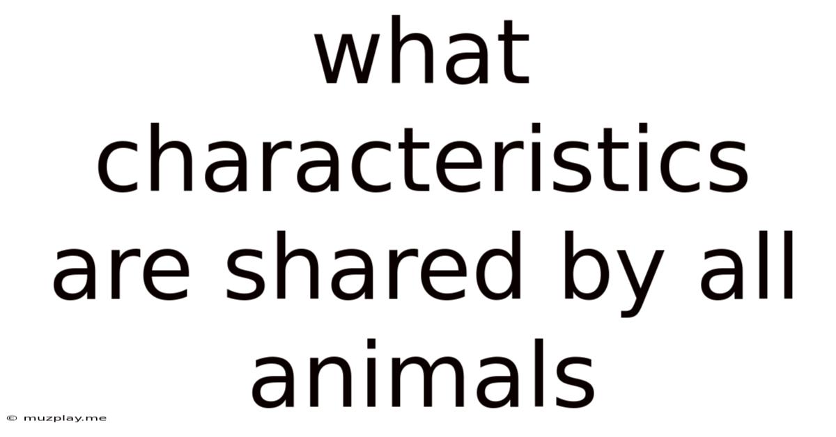 What Characteristics Are Shared By All Animals