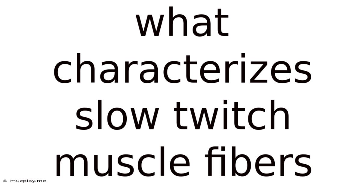 What Characterizes Slow Twitch Muscle Fibers