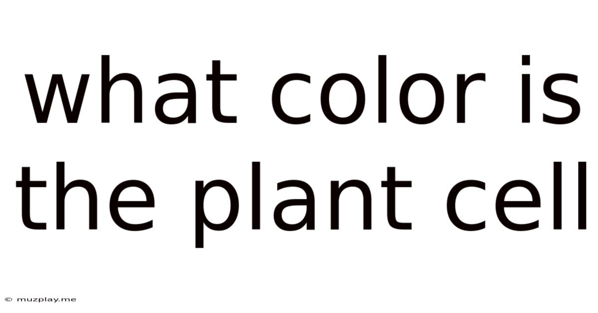 What Color Is The Plant Cell