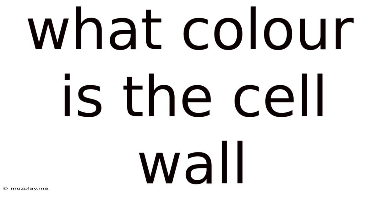 What Colour Is The Cell Wall