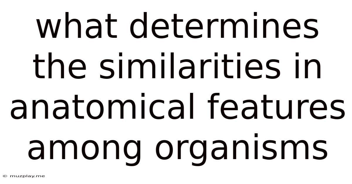 What Determines The Similarities In Anatomical Features Among Organisms