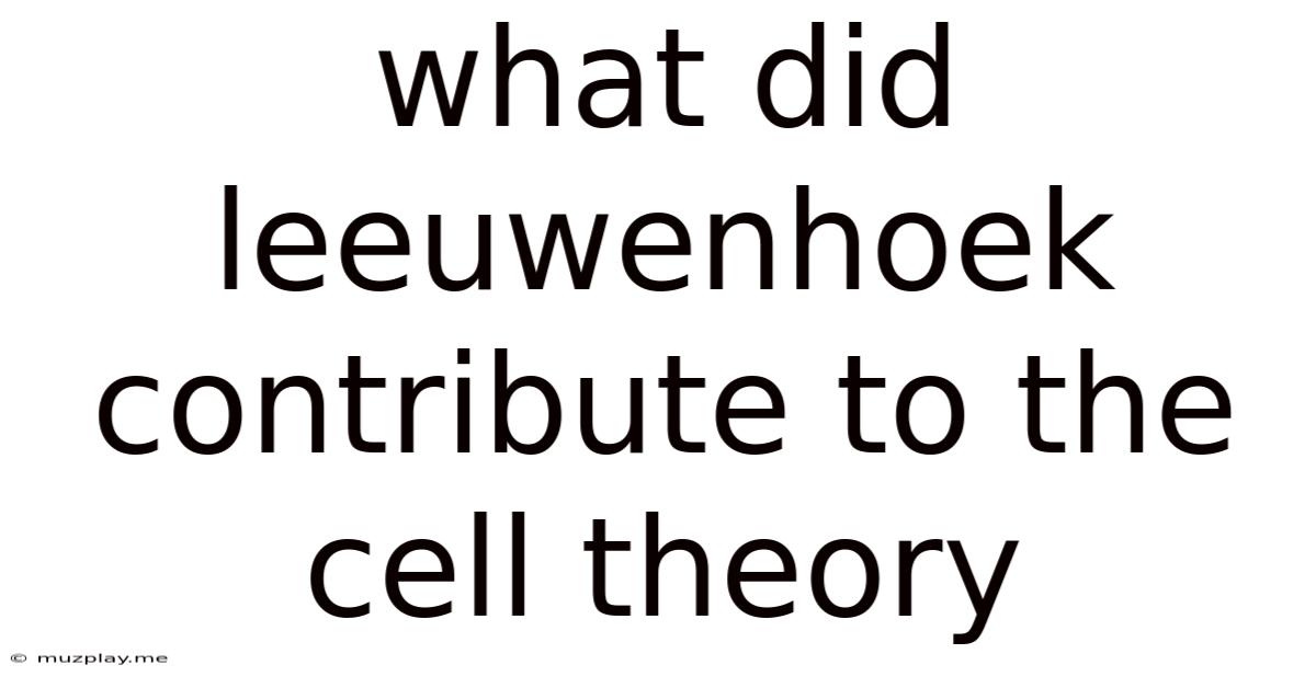 What Did Leeuwenhoek Contribute To The Cell Theory