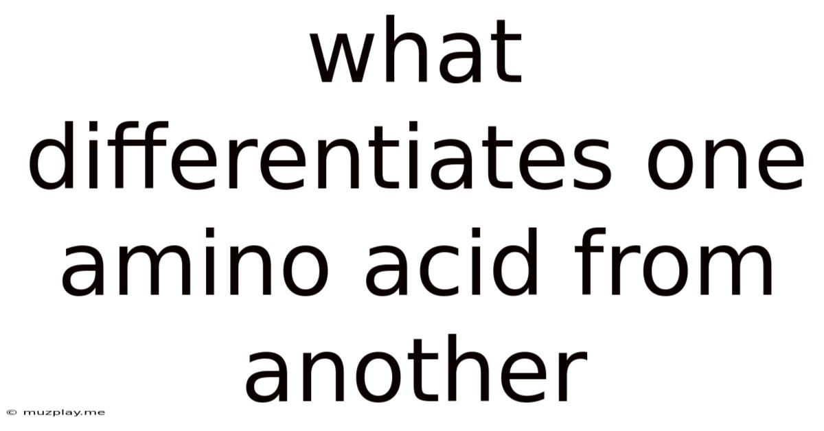 What Differentiates One Amino Acid From Another