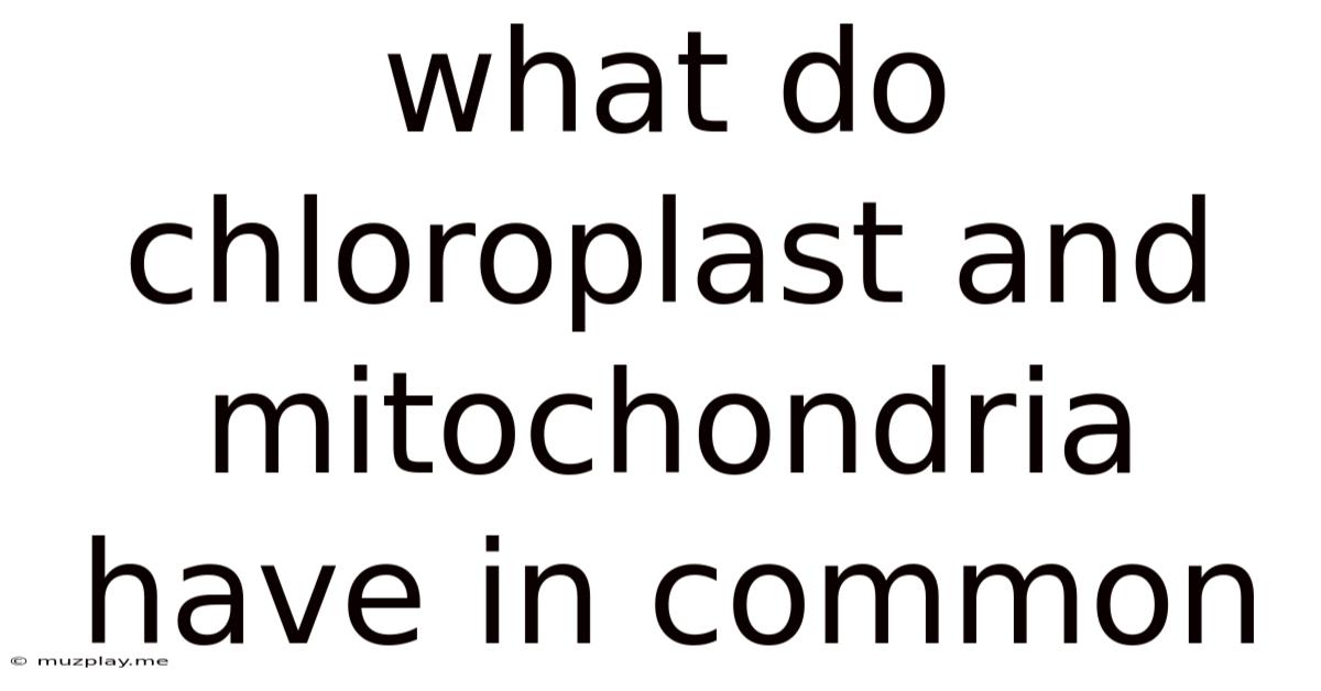 What Do Chloroplast And Mitochondria Have In Common