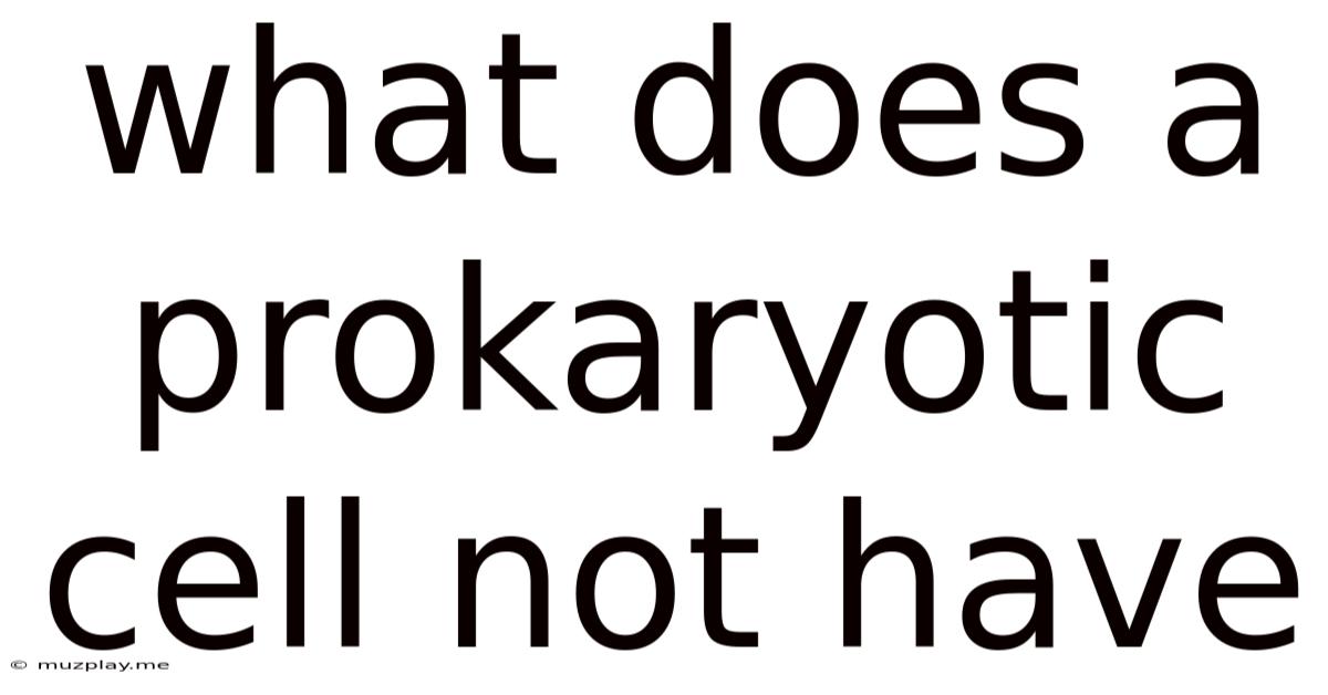 What Does A Prokaryotic Cell Not Have