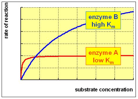 What Does High Km Mean Enzyme